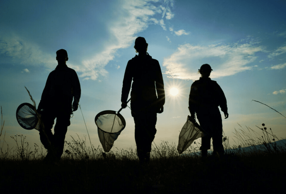 L&rsquo;effet papillon